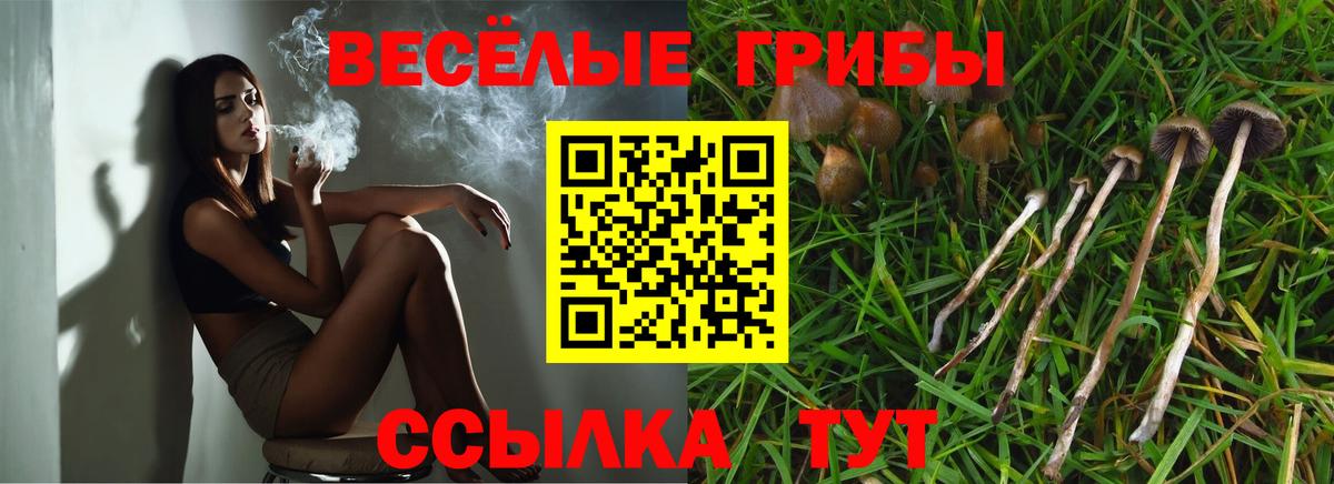 Галлюциногенные грибы мицелий Надым